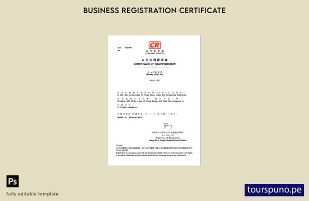listo para imprimir plantilla de plantilla de Word y PDF del certificado de inco